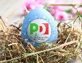 immagine dell'evento